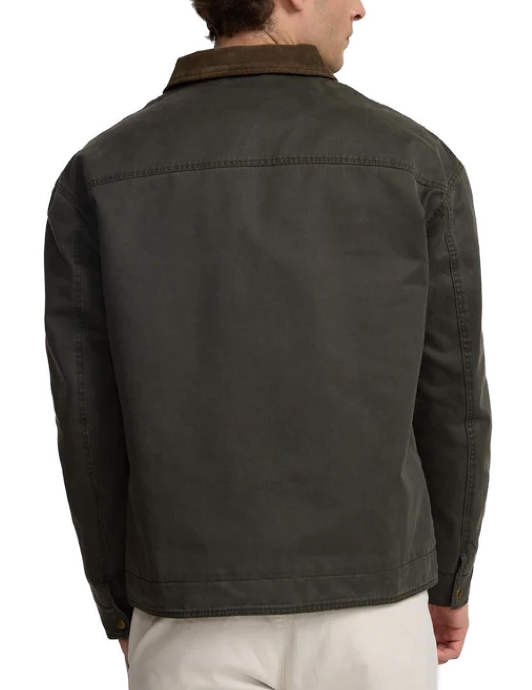 Chaqueta Silbon Clasica cuello pana verde-NG